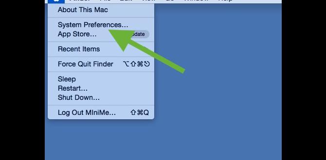 Accessing System Preferences Accessing System Preferences